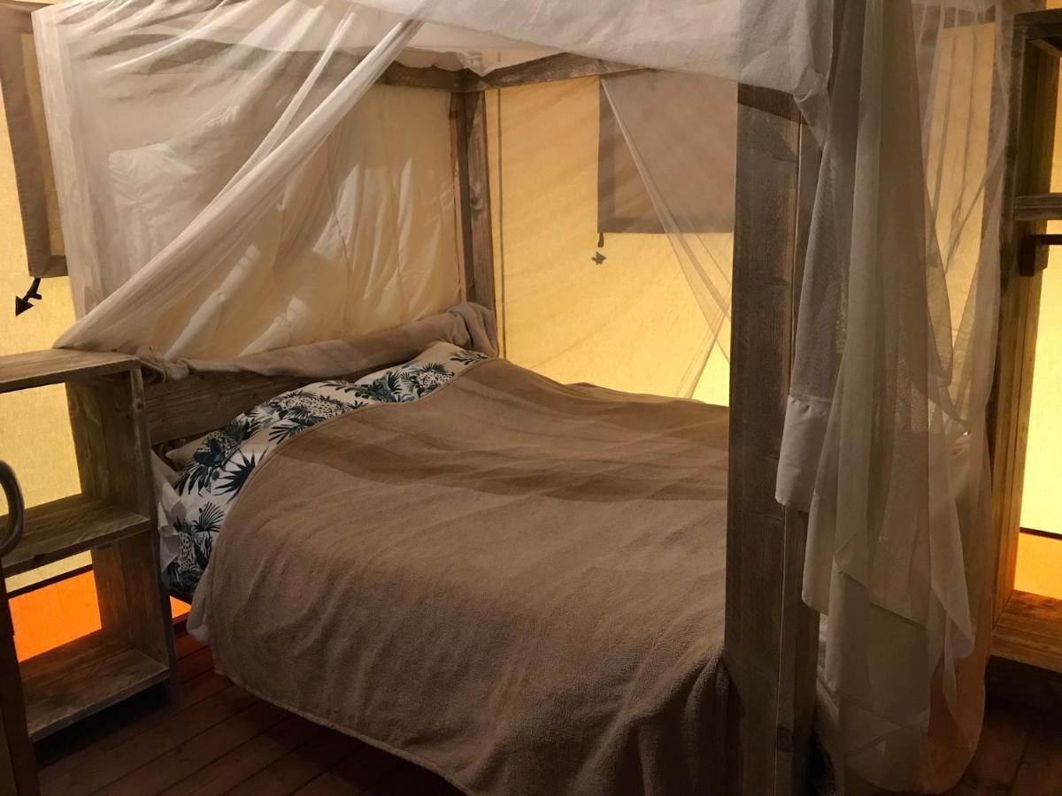 Lodge Luxe Nature